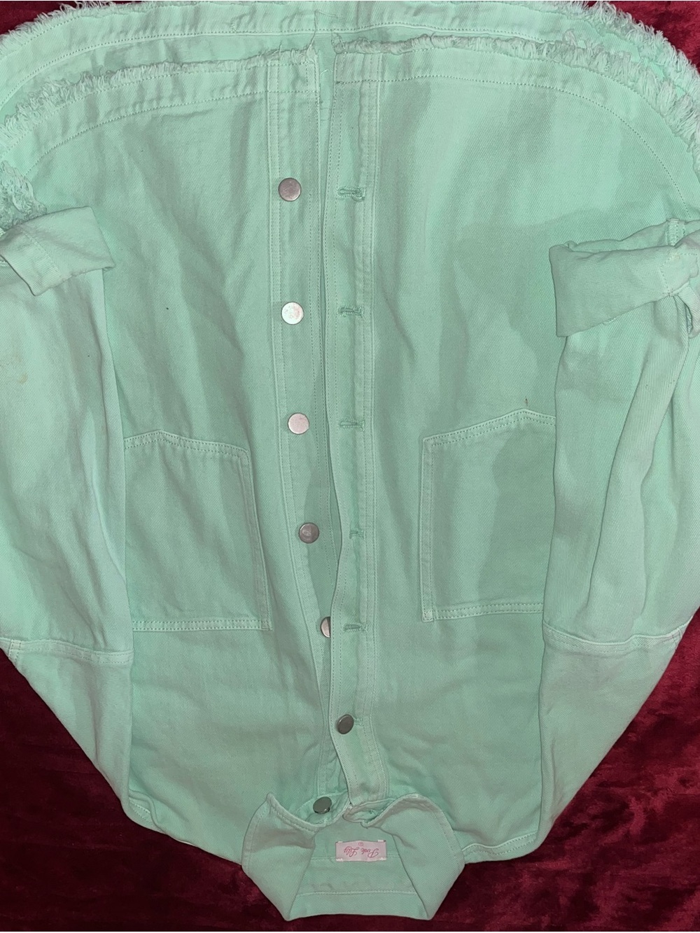 Pink Lily Mint Green Denim Top